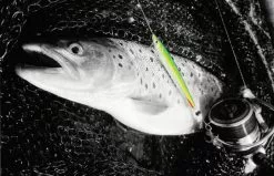 Fladen Silver Chaser 18g -Spinnerbaits Salg 2023 16 6818 1r 2