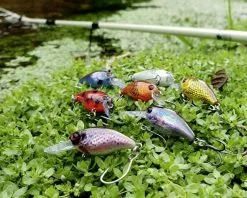 Magic Trout Hustle And Bustle Lake 2,7cm, 1,1g 7 Magic Trout Hustle And Bustle Lake 2,7cm, 1,1g -Spinnerbaits Salg 2023 3501101r 2