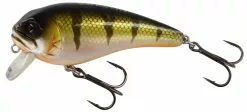 Westin Fishing Westin FatBite 8 Cm 24 G Flytande