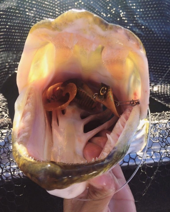 Headbanger Tail 5 Headbanger Tail - Billede 3