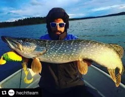 Headbanger Tail 11 Headbanger Tail -Spinnerbaits Salg 2023 Headbangertailr 4