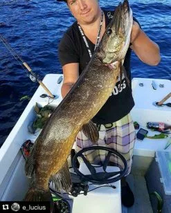 Headbanger Tail 12 Headbanger Tail -Spinnerbaits Salg 2023 Headbangertailr 5