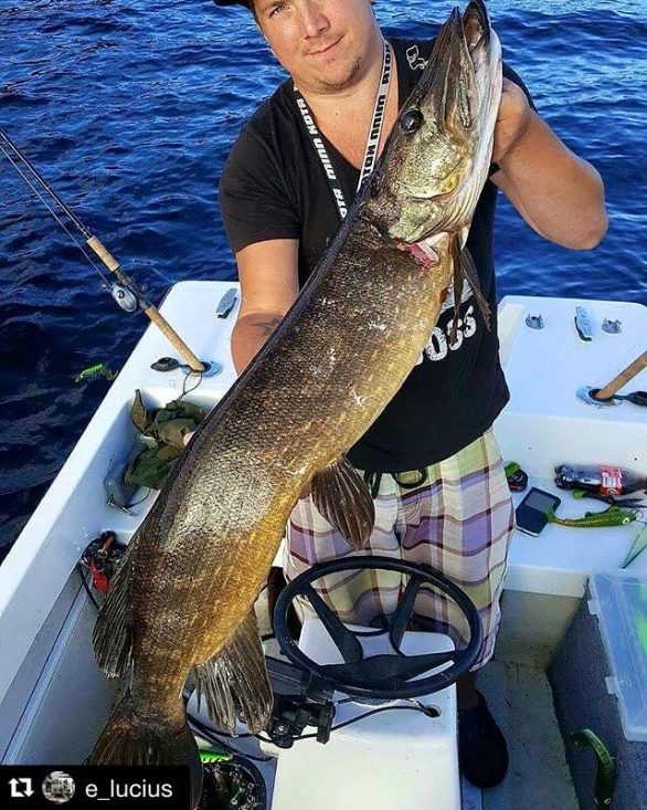 Headbanger Tail 7 Headbanger Tail - Billede 5