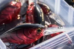 Shimano Yasei Cover Crank F -Spinnerbaits Salg 2023 LUYASCCFSR07RBTr 5