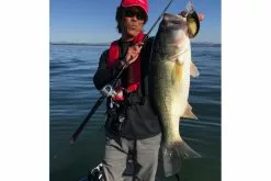 Megabass Big-M 2.0 -Spinnerbaits Salg 2023 MB 00000045738r 2