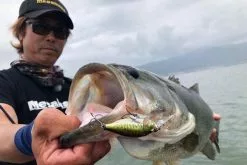 Megabass Deep-X 100 LBO -Spinnerbaits Salg 2023 MB DX100LBO 473455216r 2