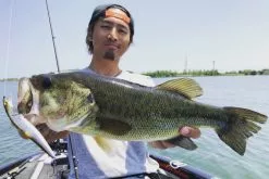 Megabass Vision Oneten LBO -Spinnerbaits Salg 2023 MB VOLBO 4513473451171r 2