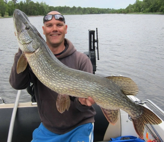 Rad Dog Spinnerbait - Ruff Tackle 4 Rad Dog Spinnerbait - Ruff Tackle - Billede 2