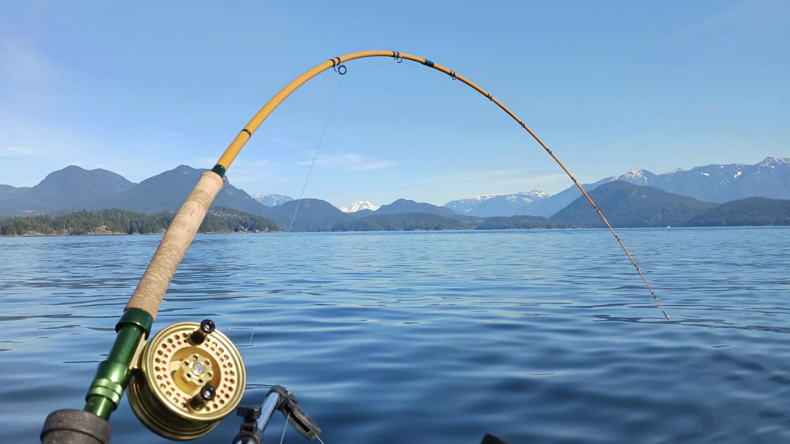 Spinnerbaits Salg 2023 -Spinnerbaits Salg 2023 ABF Charters Banner Image 14AC48F8 5056 B3A8 4975B056AA8A25BC 14ac44e95056b3a 14ac56c4 5056 b3a8 49306dd48234c6a0 scaled